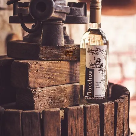 Bacchus Гостевой дом Олимпия
