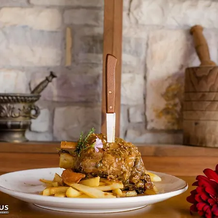 ゲストハウス Bacchus オリンピア