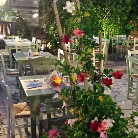 Bacchus オリンピア