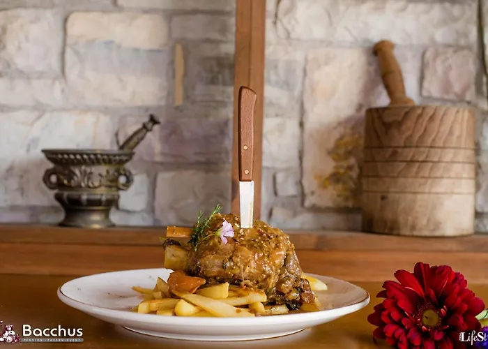 ゲストハウス Bacchus オリンピア