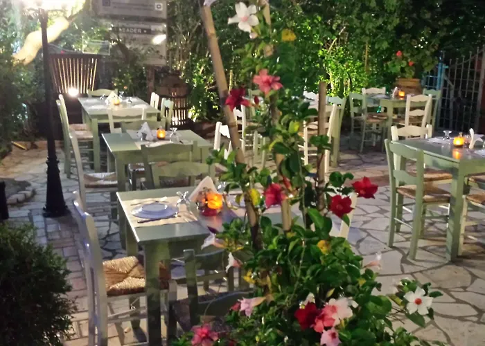 βάκχος Ολυμπία